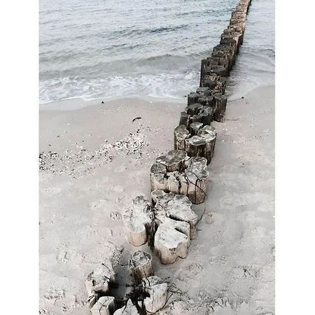 Boddensurfer 3b Σπίτι διακοπών